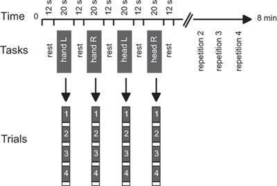 A Functional Magnetic Resonance Imaging Study of <mark class="highlighted">Head Movements</mark> in Cervical Dystonia